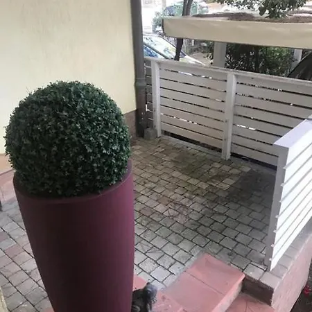Flora מלון